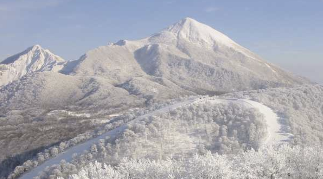 ���֒�y���V�����z���l�ŏ���